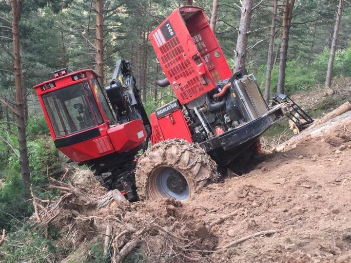 forestal y agricola (3)